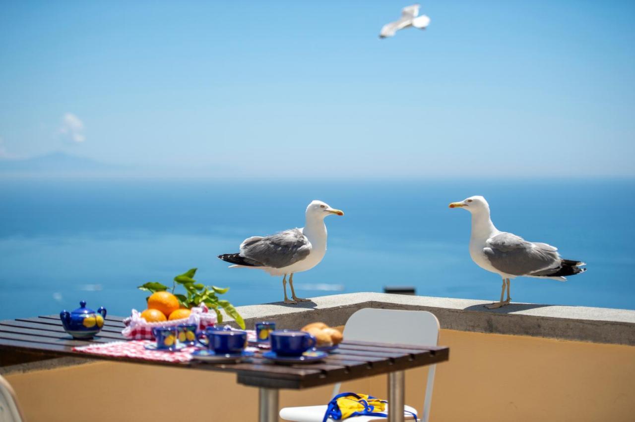 Casa Licia Daire Positano Dış mekan fotoğraf